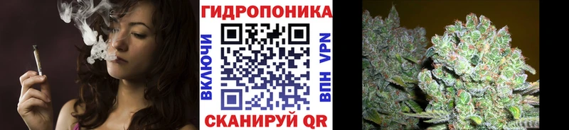 Конопля планчик  Шелехов 